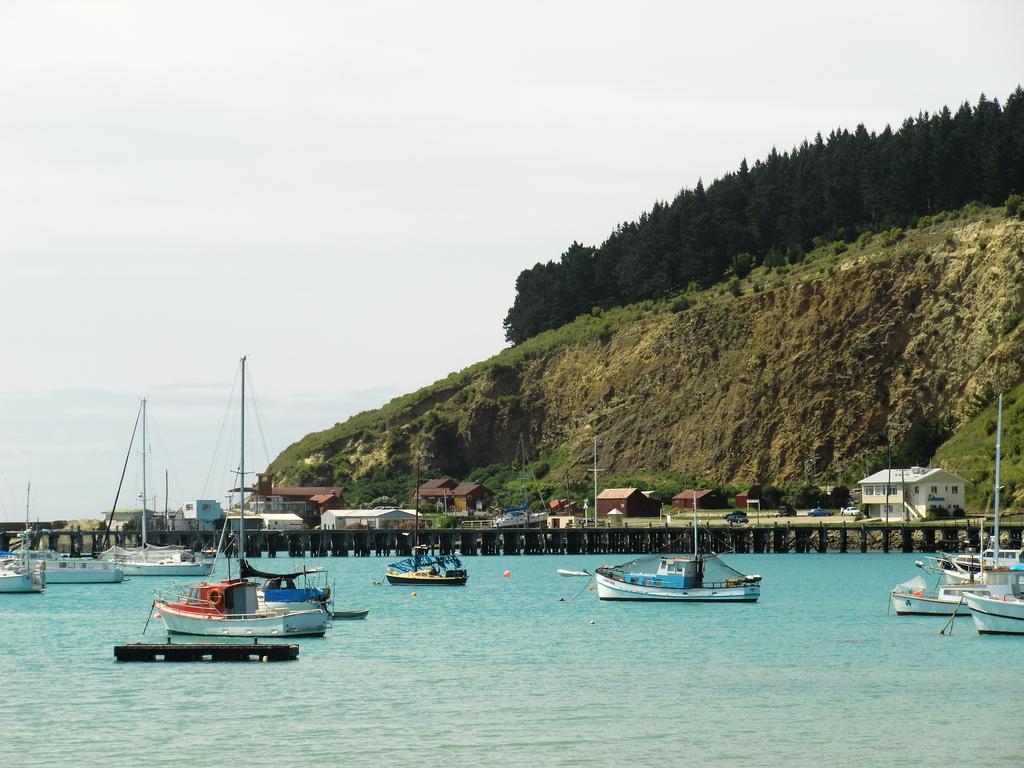 Oamaru Green Cottage Dış mekan fotoğraf